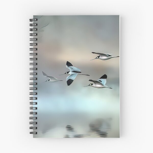 Item preview, Avocet morning designed and sold by Brian Tarr.