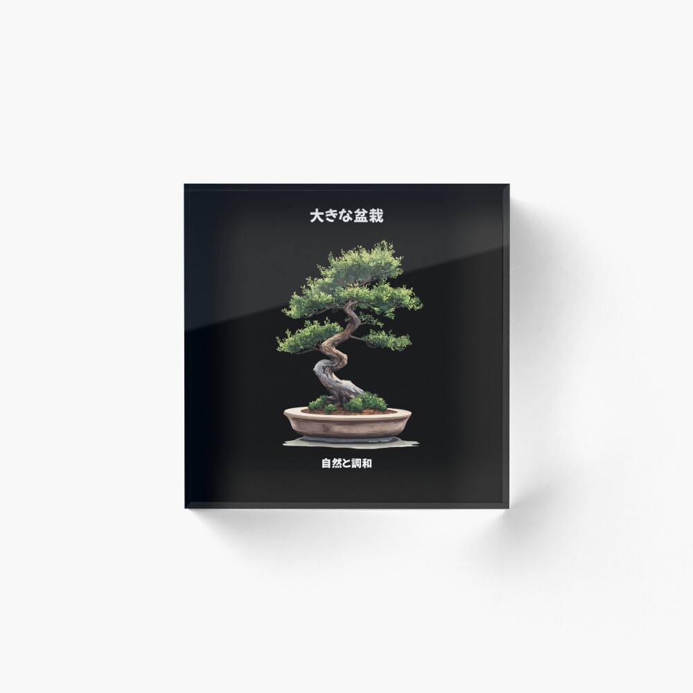 Big Bonsai Zen Enso Circle & Kanji Art (Acrylic Block)