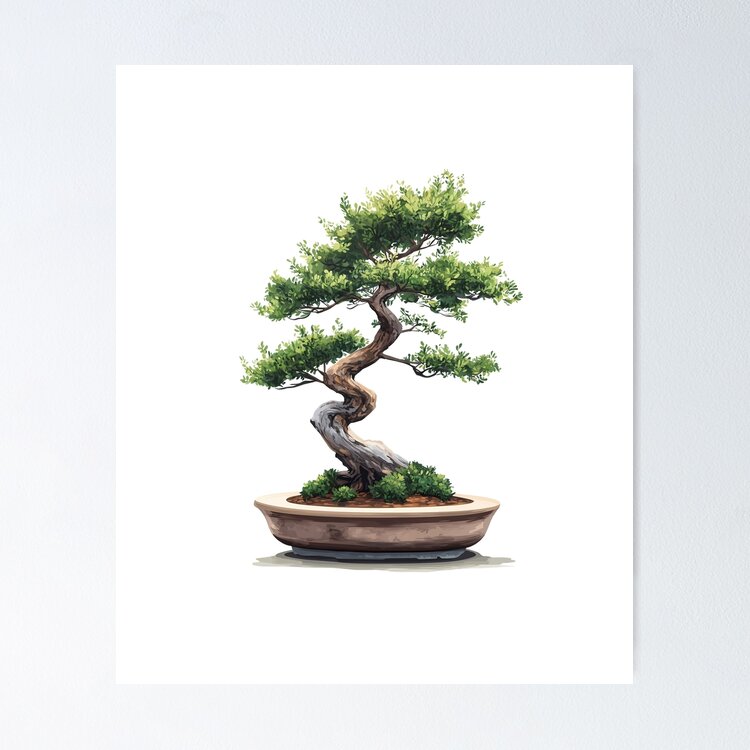 Big Bonsai Zen Enso Circle & Kanji Art Poster