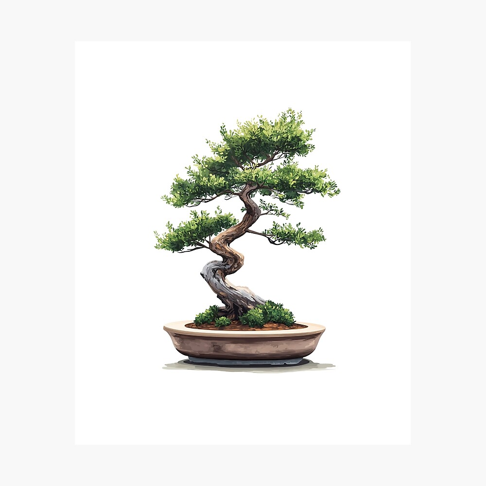 Big Bonsai with Zen Ensō Circle and Kanji