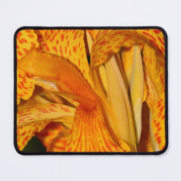 Item preview, Colourful Flower Belfast Botanic Garden Vertical designed and sold by eddiebarronshop.