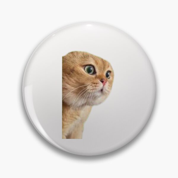 Item preview, Cat Meme - Why - Complaining Cat designed and sold by RANDOMNESS.