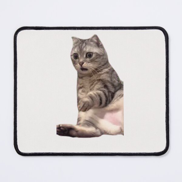 Item preview, Cat Meme - What's going on! designed and sold by RANDOMNESS.