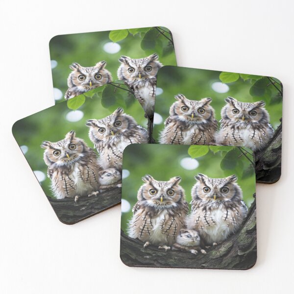 Item preview, Owls in Love designed and sold by Collection de trésors .
