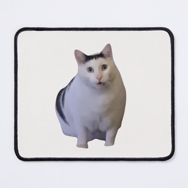 Artikelvorschau, Katzen-Meme - Huh, Katze entworfen und verkauft von RANDOMNESS.