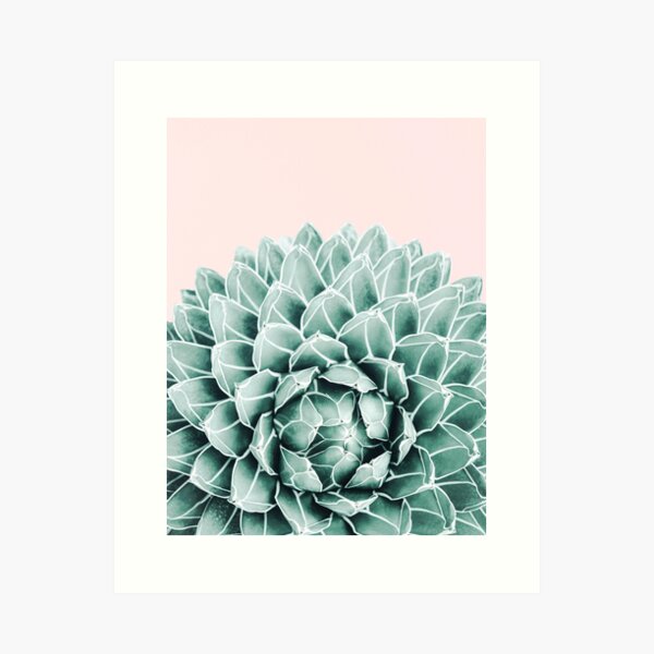 Succulent splendour - blush Art Print