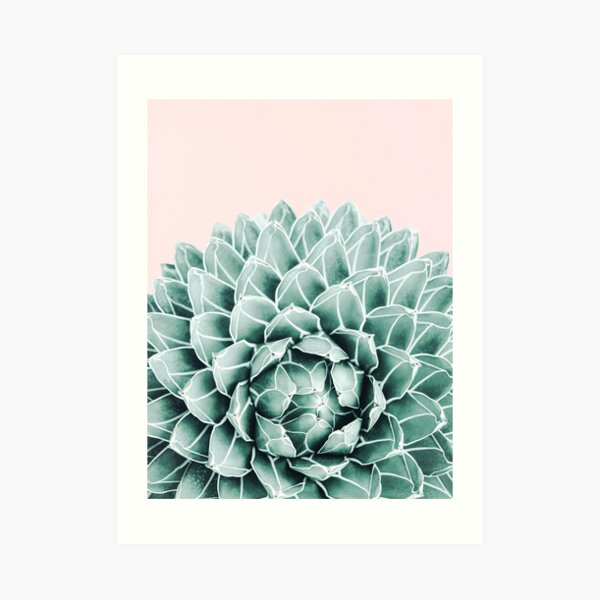 Succulent splendour - blush Art Print