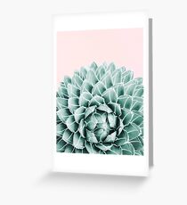 Succulent splendour - blush Greeting Card