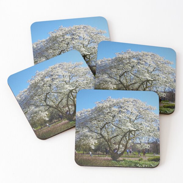 Item preview, A VERY BEAUTIFUL TREE designed and sold by NatureWatch10.