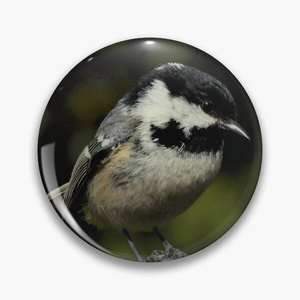 Item preview, CHIAROSCURO designed and sold by NatureWatch10.
