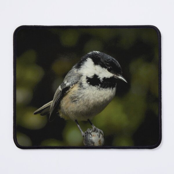 Item preview, CHIAROSCURO designed and sold by NatureWatch10.
