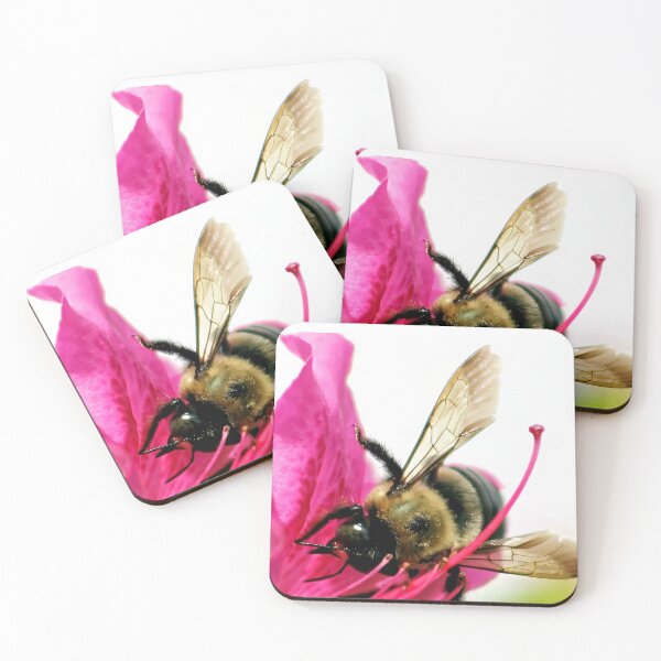 Item preview, Bee Kind by Haley Cran designed and sold by True Bliss  Nature.