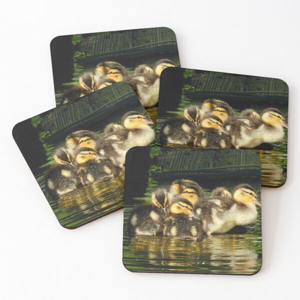 Item preview, DIVINE DUCKLINGS 1 designed and sold by NatureWatch10.
