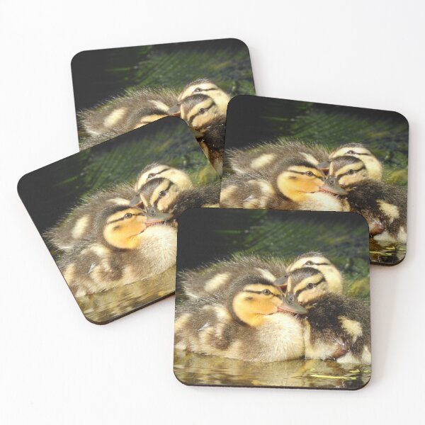 Item preview, DIVINE DUCKLINGS 2 designed and sold by NatureWatch10.