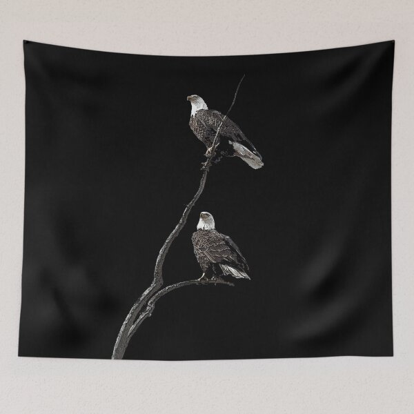 Item preview, Bald Eagles on Tree - Black Background - Digital art from a photo designed and sold by Shauna Kenworthy.