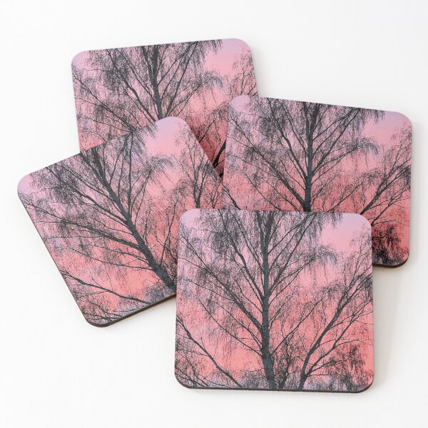 Item preview, Dramatic contrasts of the birch tree in the sunset sky.  designed and sold by Eva Studená Photography.