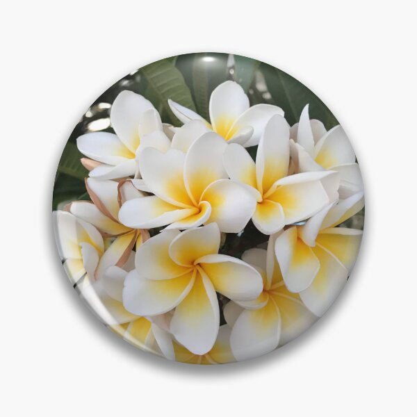 Item preview, Frangipani flowers designed and sold by Violetshop.