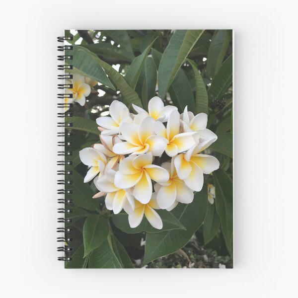 Item preview, Frangipani flowers designed and sold by Violetshop.