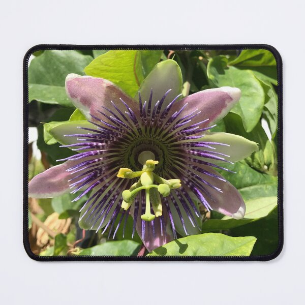 Item preview, Green and purple flower designed and sold by Violetshop.