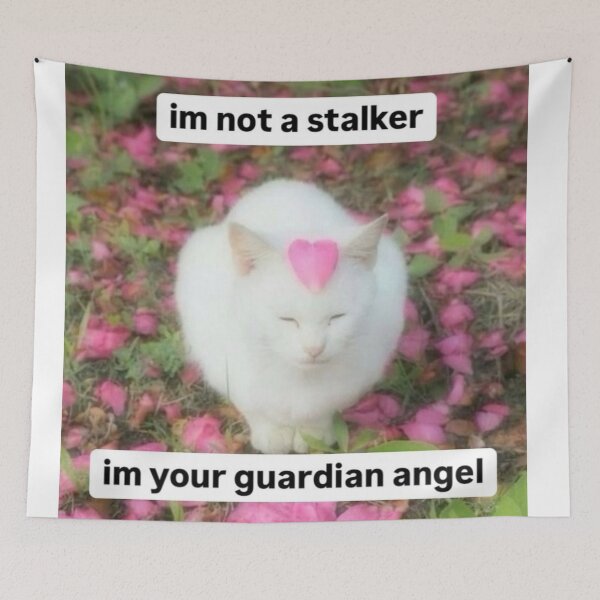 Item preview, im not a stalker im your guardian angel meme designed and sold by ElGatoGoods.