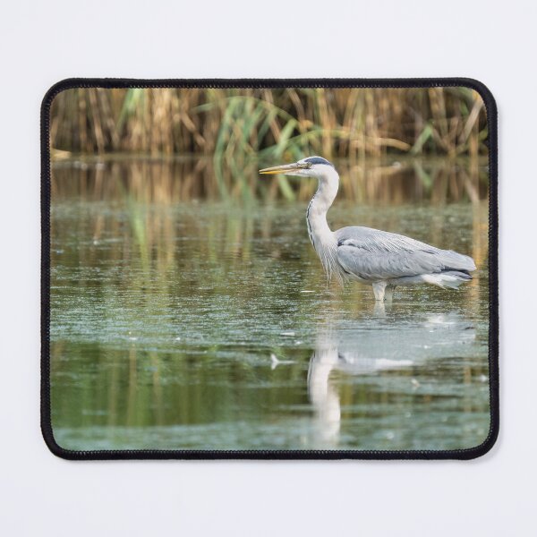 Item preview, Grey Heron designed and sold by ansaharju.
