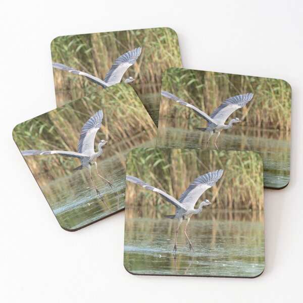 Item preview, Grey Heron taking off designed and sold by ansaharju.