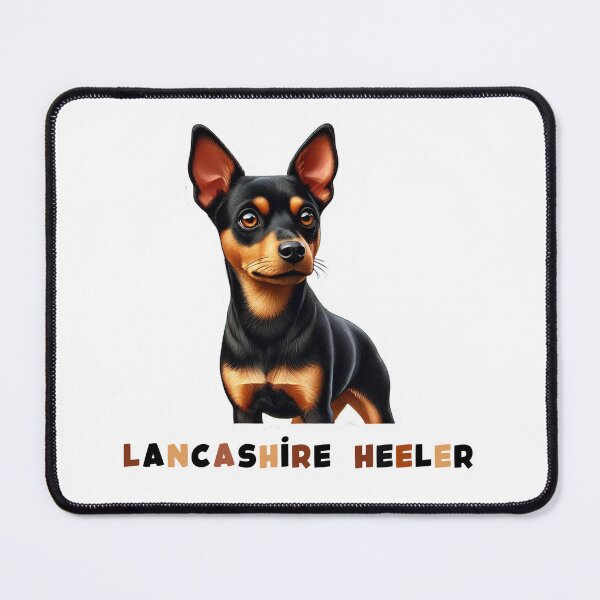 Item preview, Lancashire Heeler Dog Illustration designed and sold by Jamesspf.