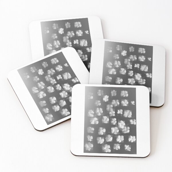 Item preview, White petals designed and sold by LoraSi.