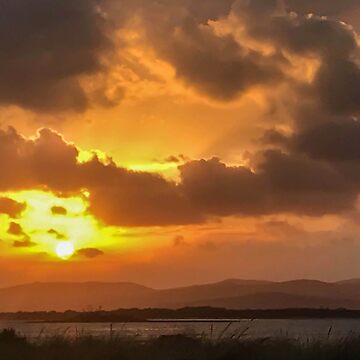 Artwork thumbnail, Sunrise ~ Freer's Beach by Elysian Photography