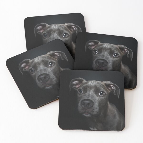 Item preview, Little puppy photographed in the photo studio. designed and sold by PfotenGalerie.