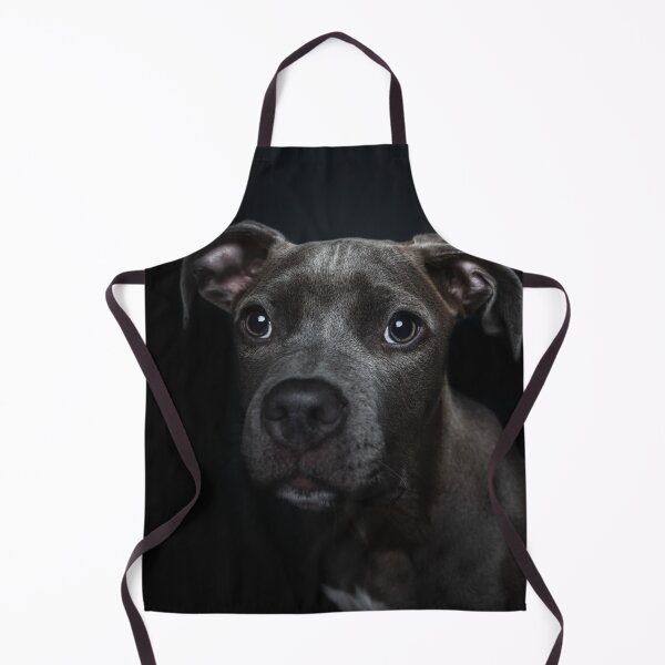 Item preview, Little puppy photographed in the photo studio. designed and sold by PfotenGalerie.
