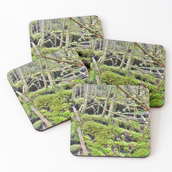 Item preview, Mount Mitchell North Carolina Mossy Trail Vertical designed and sold by LisaWootenPhoto.