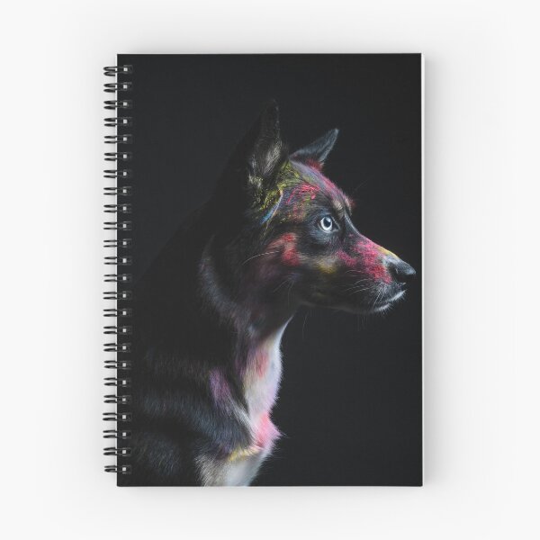 Item preview, Dog with Holi colors designed and sold by PfotenGalerie.