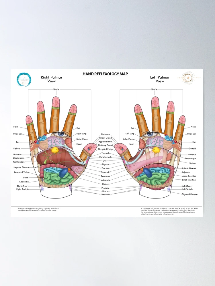 Hand Reflexology Map hand-reflexology-map-poster-for-sale-by-chantelclucier-redbubble