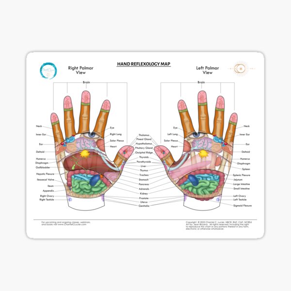 Item preview, Hand Reflexology Map designed and sold by ChantelCLucier.