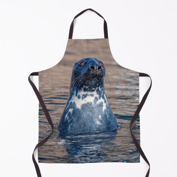 Item preview, Sammy the Seal at Burghead Harbour designed and sold by Tom McPherson Photography.