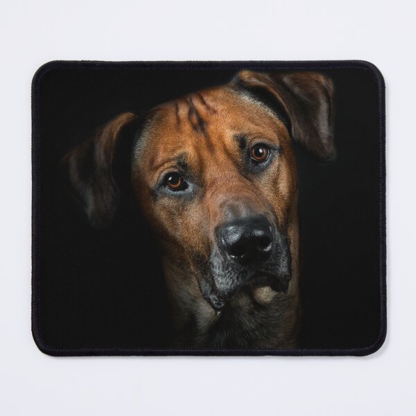 Item preview, Portrait of a dog designed and sold by PfotenGalerie.