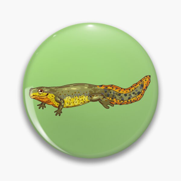 Item preview, Eastern Newt designed and sold by Lily Hamilton.