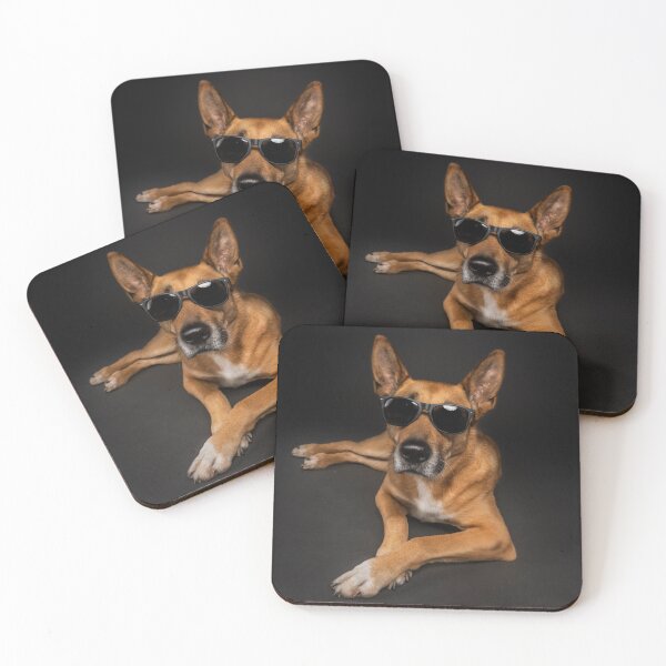 Item preview, Dog in photo studio with sunglasses designed and sold by PfotenGalerie.