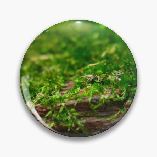 Item preview, Moss on tree bark designed and sold by Tonia Delozier's Photography .