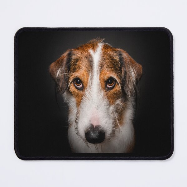 Item preview, A sweet dog portrait. Perfected dog look designed and sold by PfotenGalerie.