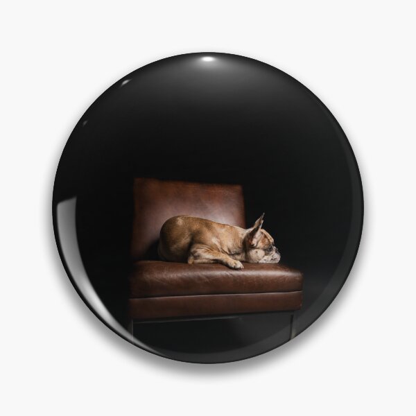 Item preview, Small dog lying on the leather armchair designed and sold by PfotenGalerie.