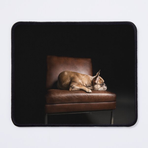 Item preview, Small dog lying on the leather armchair designed and sold by PfotenGalerie.