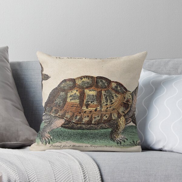 Item preview, African Land Tortoise designed and sold by Zoozwear Apparel.