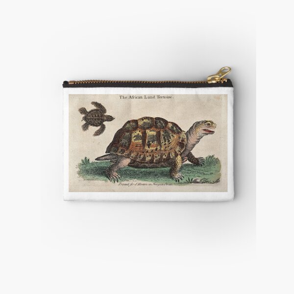 Item preview, African Land Tortoise designed and sold by Zoozwear Apparel.