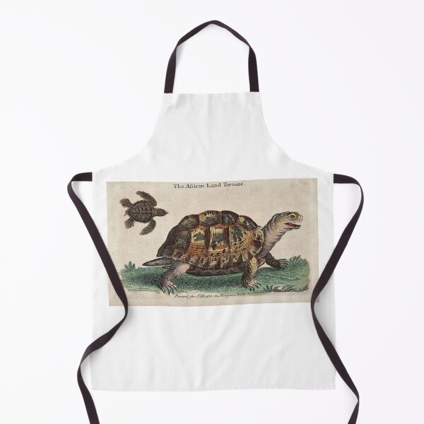 Item preview, African Land Tortoise designed and sold by Zoozwear Apparel.