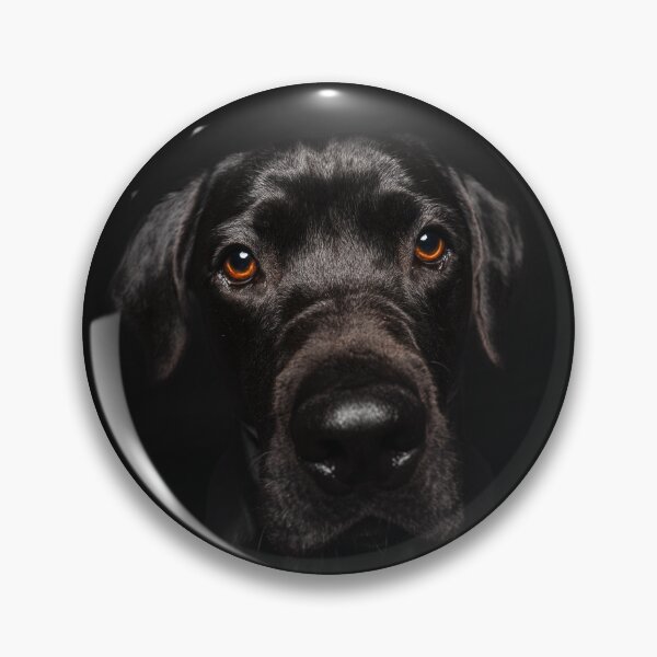 Item preview, Black Labrador as a dog portrait designed and sold by PfotenGalerie.