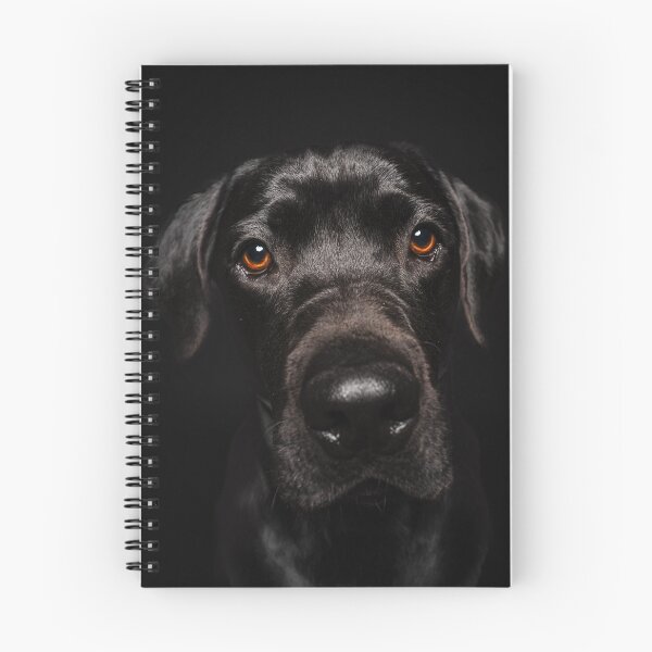 Item preview, Black Labrador as a dog portrait designed and sold by PfotenGalerie.