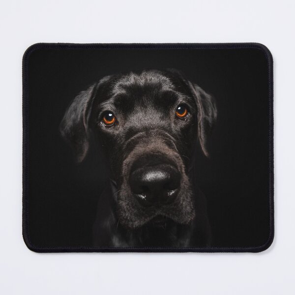 Item preview, Black Labrador as a dog portrait designed and sold by PfotenGalerie.