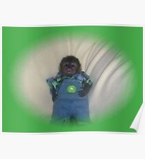 small monkey john deere Poster